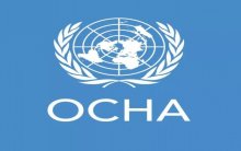 "الأوتشا" ترحب بإعلان المملكة والإمارات دفع رواتب 135 ألف معلم يمني