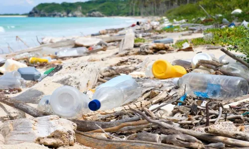 دراسة.. هذا ما يفعله التلوث بالأطفال!